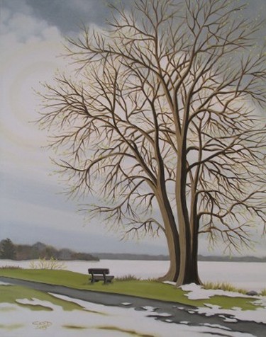 Elm Tree in WInter