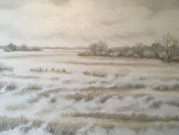 Winter Field at Rest